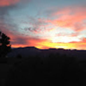 Meet your Posher, Raymond